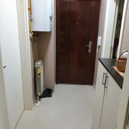 Apartment Mint *